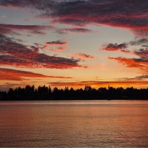 Meet your Posher, Theresa